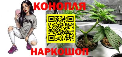 2c-b Гулькевичи