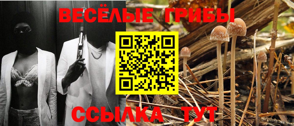 Балашиха  Галлюциногенные грибы Psilocybe  Галлюциногенные грибы прущие грибы  Вход с VPN 
