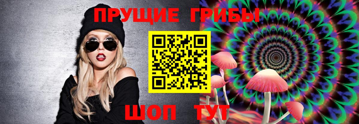 Галлюциногенные грибы Cubensis Балашиха